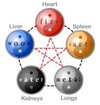 Le Shiatsu - 5 Elements and Yin Organs Image