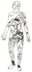 Le Shiatsu - The Body as a Garden Image