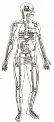 Le Shiatsu - The Body as a Machine Image
